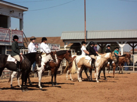 Visit AVRA-Arkansas Valley Riding Academy