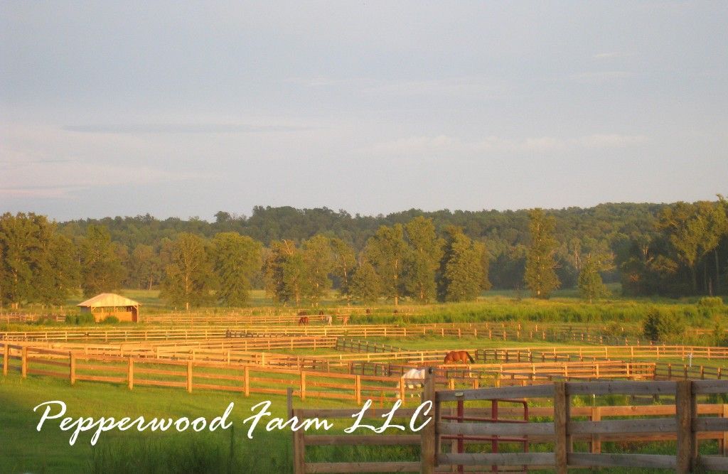 Visit Pepperwood Farm