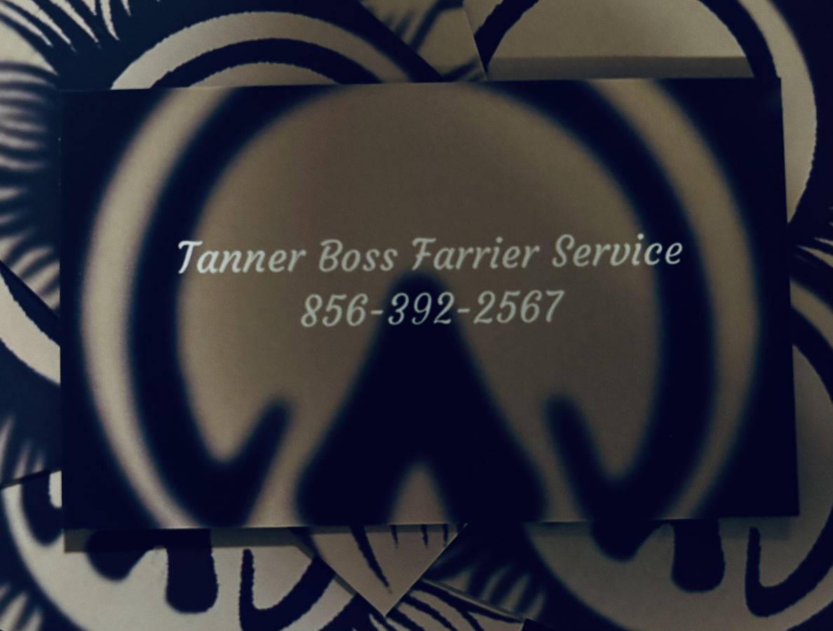 Visit Tanner Boss