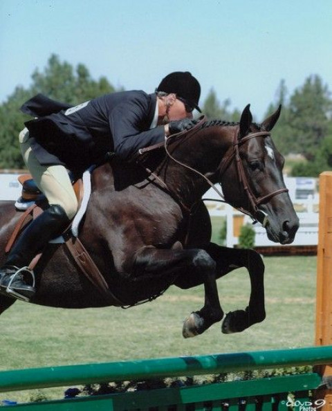 Visit The Chase - Horse Training & Riding Instruction
