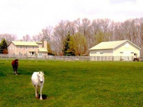 Visit Central Ohio Horse Farms