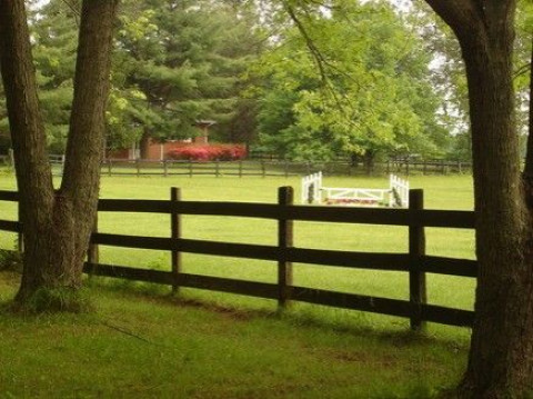 Visit Pond View Stables