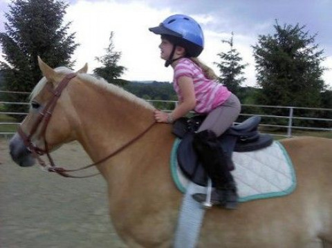 Visit Equestrian Essentials Riding Instruction at MJR Stables