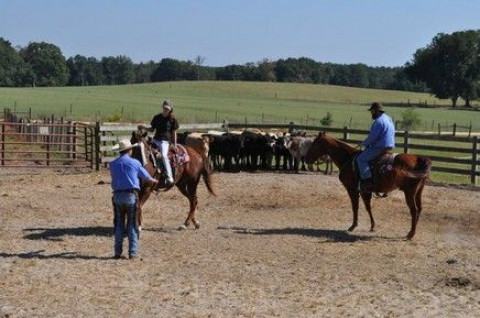 Visit Whatley Equestrian Center, LLC