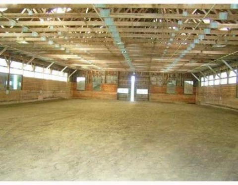 Visit Grand View Stables