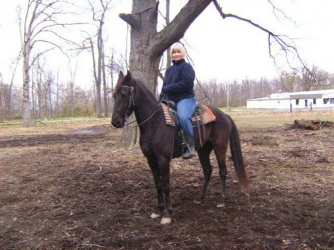 Visit COWBOY UP KENTUCKY! Trail riding and Lessons
