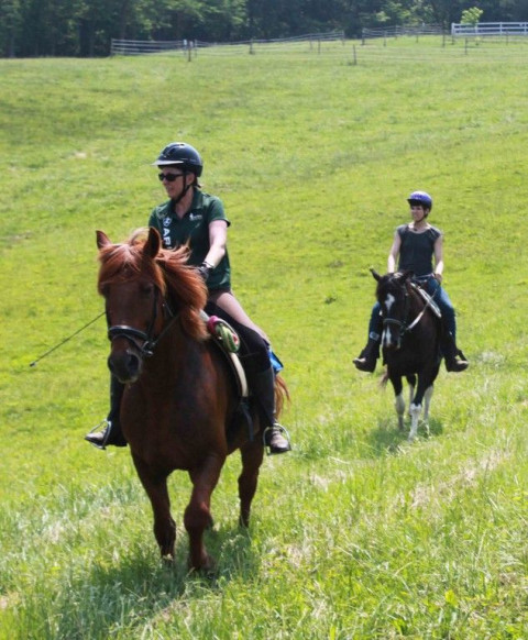 Visit Learn to ride a friendly, healthy, happy horse