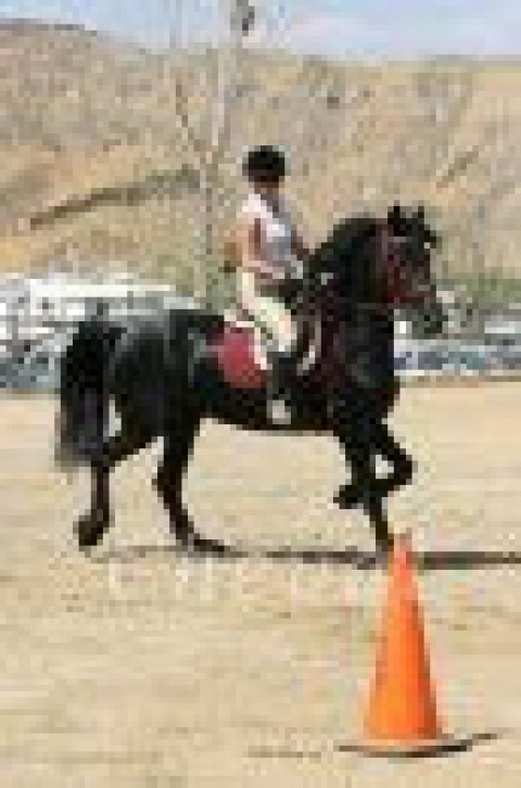 Visit Skye's the Limit Equestrian Center