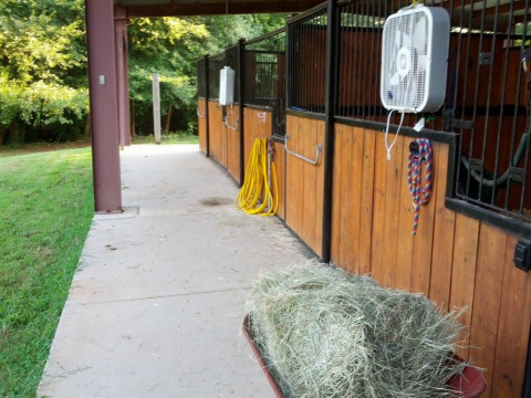 Visit Heavenly Acres Stable