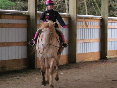Visit Big Star Ranch, Inc. Equine Assisted Activities and Therapies