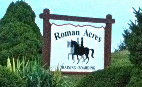 Visit Roman Acres Farm
