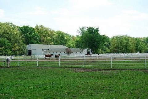 Visit Tranquility Stables
