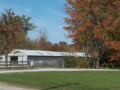 Visit Chase stables