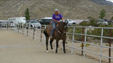 Visit Las Vegas Horse Stables at Kyle Canyon