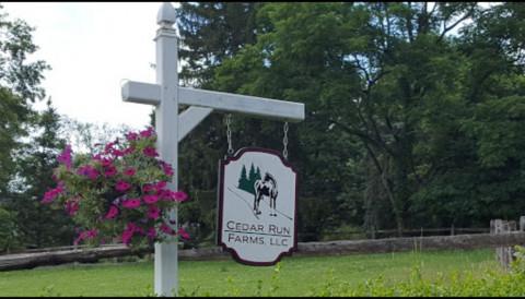 Visit Cedar Run Farms