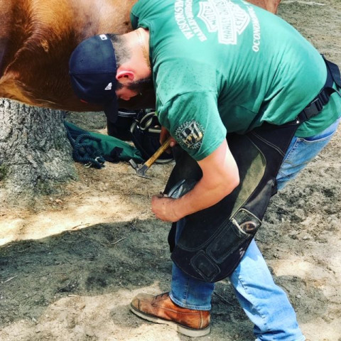 farrier concerns graduate seriously program