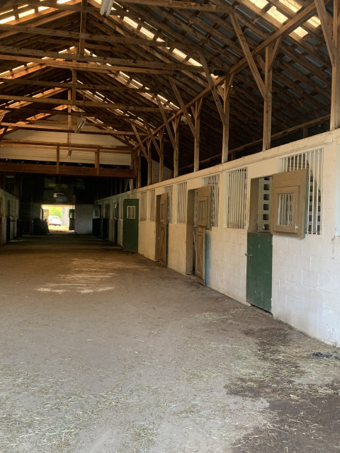 Visit Liberty Stable