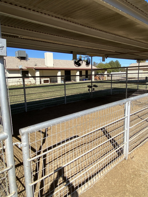 Visit Mesquite Ranch and Stables