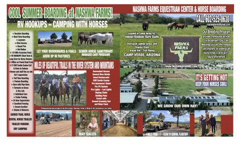 Visit Arizona Equestrian Boarding Facility & RETIREMENT HORSES care programs
