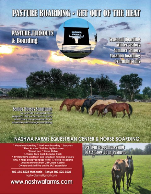 Visit ARIZONA HORSE BOARDING & RETIREMENT HORSE care