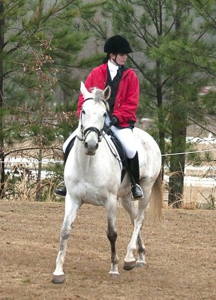 Northern Lights School of Horsemanship - Riding Instructor 