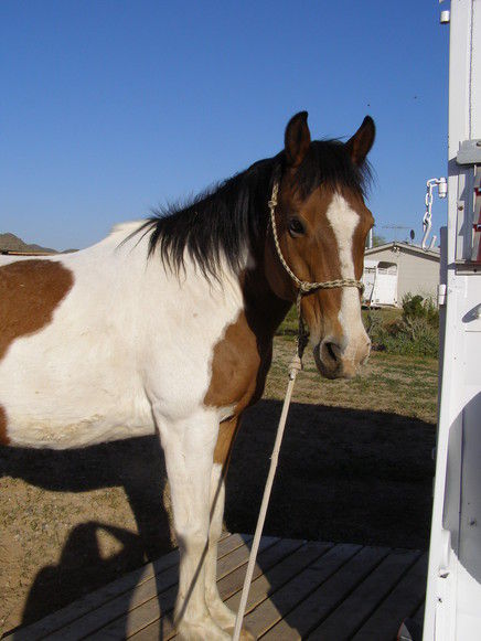 Visit J-D Ranch