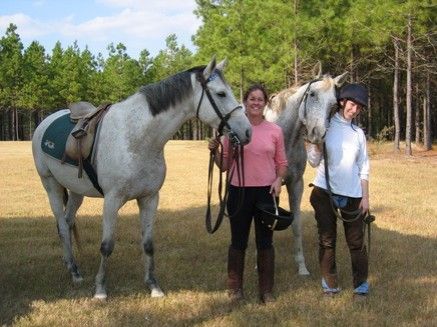 Serenity Stables - Southern Pines Horse Farm & Equestrian Happenings ...