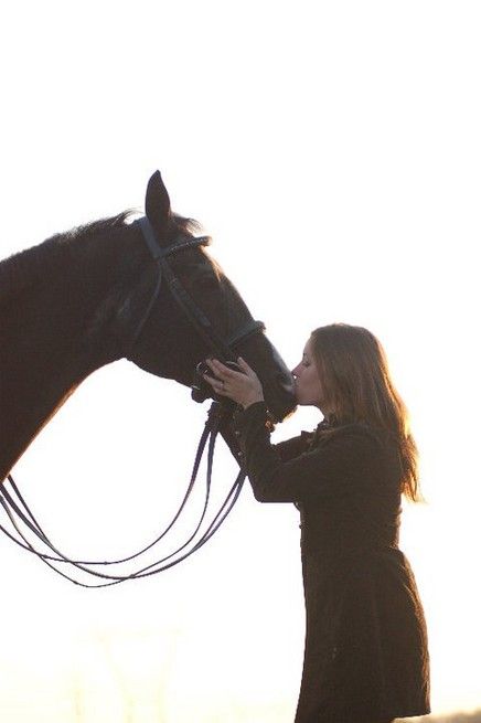 Rue Sport Horses - Horse Boarding Farm in Columbus, Ohio