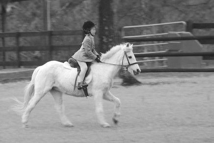 lea edwards - riding instructor in camden, south carolina