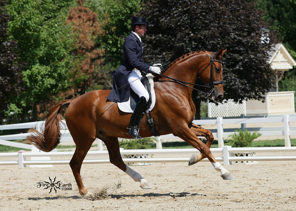 Endel Ots Dressage Trainer in Wellington, Florida