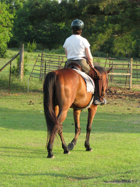 Red Leaf Farm - Horse Boarding Farm in Dothan, Alabama