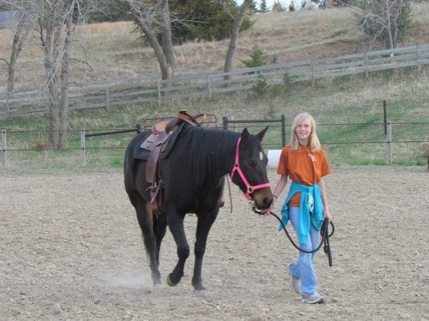 windmill stables - horse boarding farm in kearney, nebraska