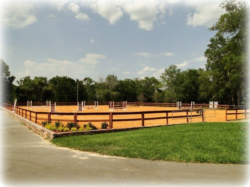 Simplicity Stables - Horse Boarding Farm in Apopka, Florida