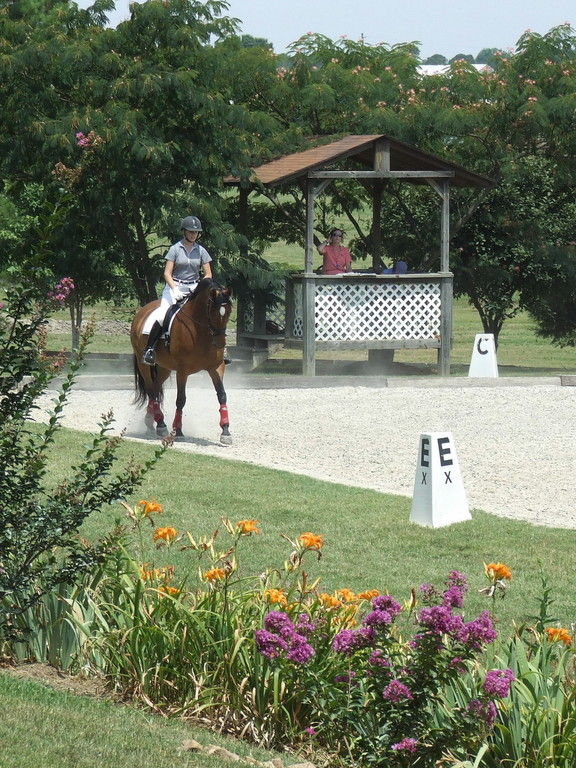 MacNair's Country Acres - Horse Boarding Farm in Raleigh, North Carolina