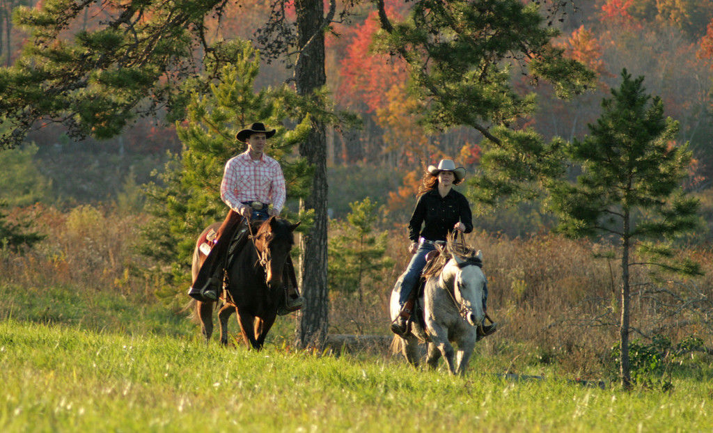 Triple H Stable - Horse Boarding Farm in Soddy Daisy 