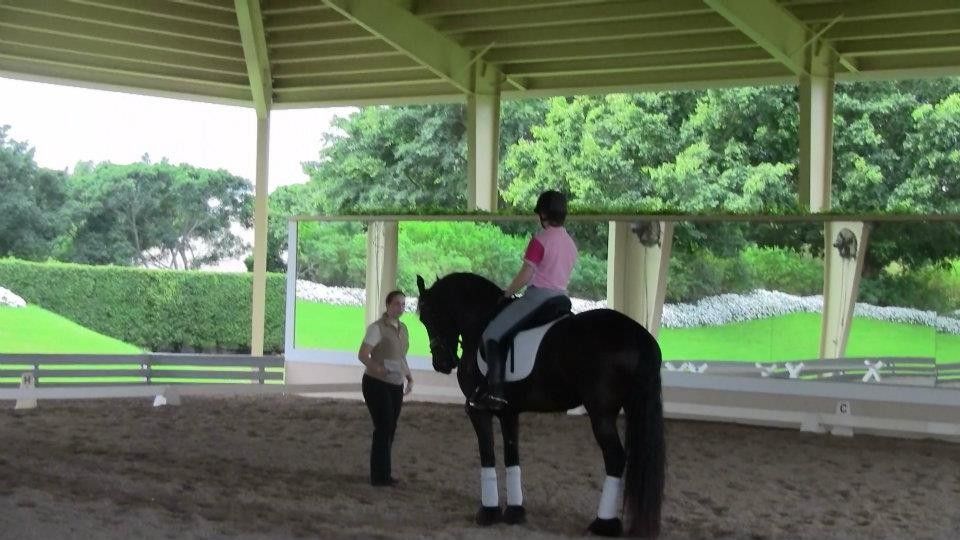Everglades Dressage Dressage Trainer in Wellington, Florida