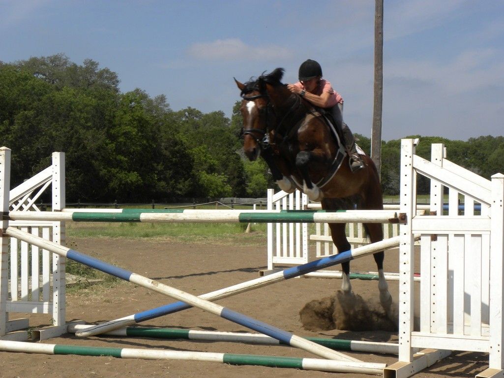 Russell Equestrian Center - Horse Boarding Farm in San Antonio, Texas