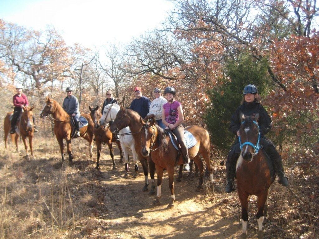 Visit High Meadow Stables