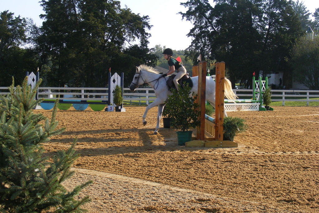 Stonehouse Equestrian, LLC - Riding Instructor in Stafford, Virginia