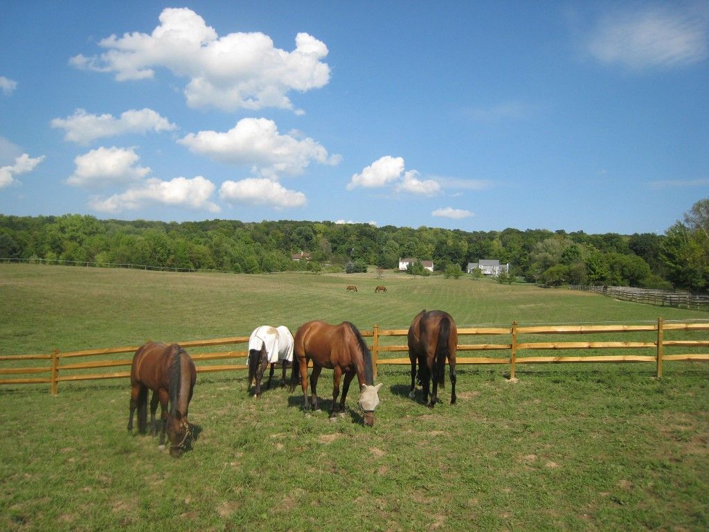 horse farm tours ohio
