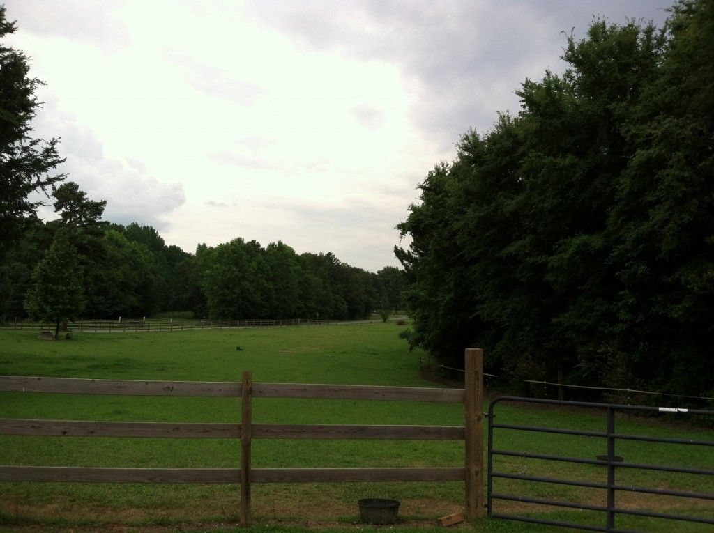 shade tree farm - horse boarding farm in charlotte, north