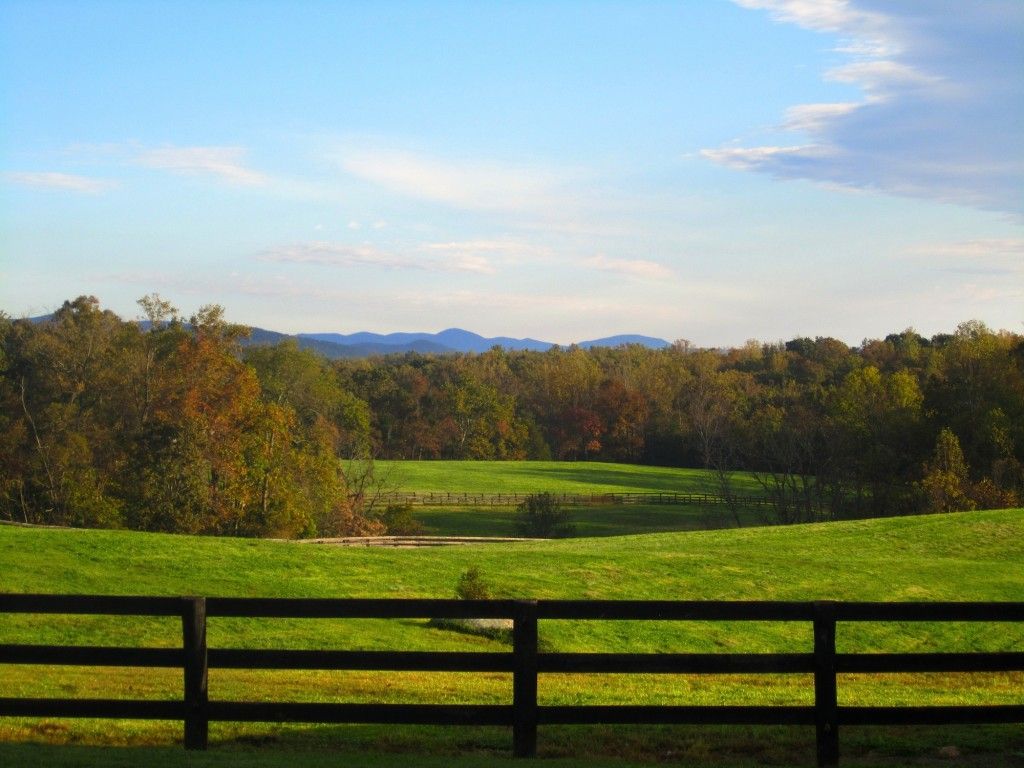 wildair farm - horse boarding farm in free union, virginia