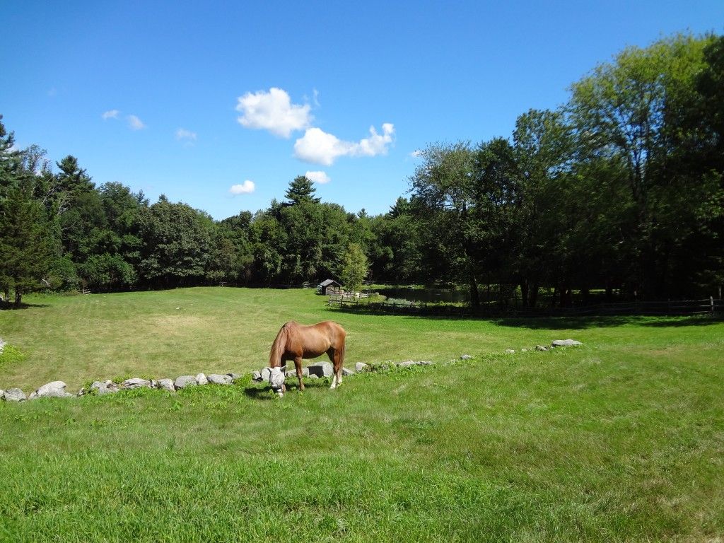 Visit Spring Hill Farm in Callahan State Park