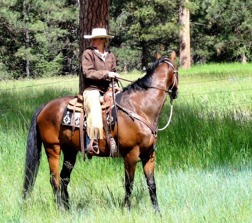 Flying H Stables Horse Boarding Farm in Missoula, Montana