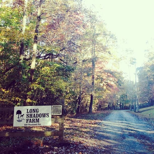 Horse Boarding In Spartanburg South Carolina Spartanburg County