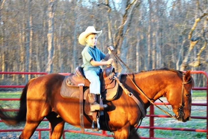 cori richerson riding instructor in lecompte louisiana horse trainer resume