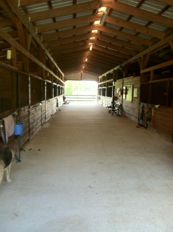 Greenridge Farm, Inc. - Horse Boarding Farm in Plant City 