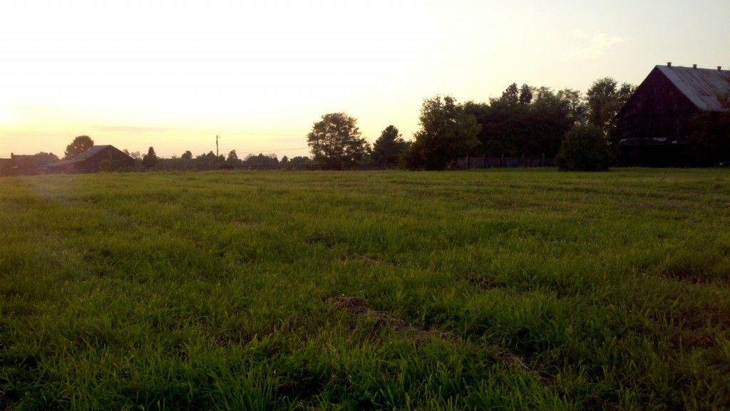 golden age farm versailles, ky 40383 golden age farm versailles, ky 40383