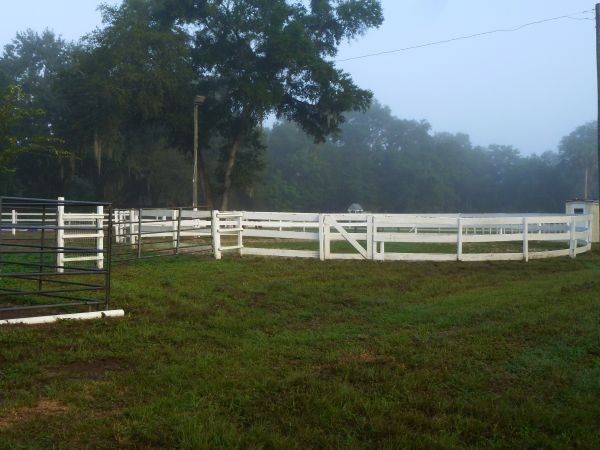 Oak Acres Farm - Horse Boarding Farm in Orlando, Florida