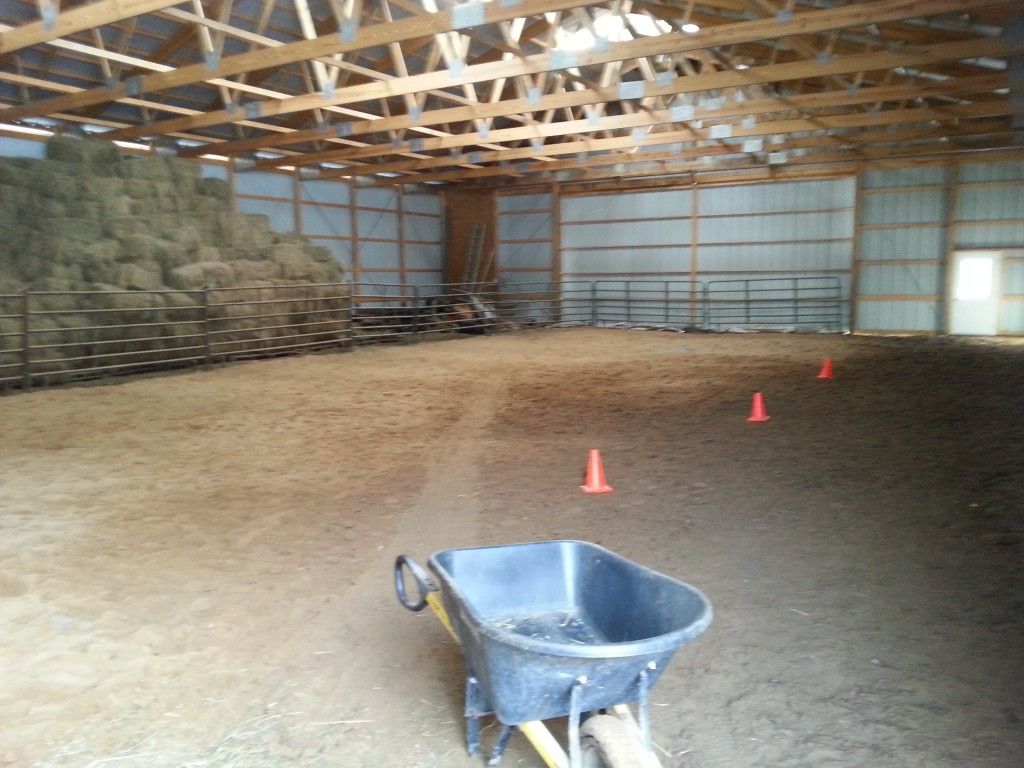 Morning Star Farm Inc - Horse Boarding Farm in Schenectady ...